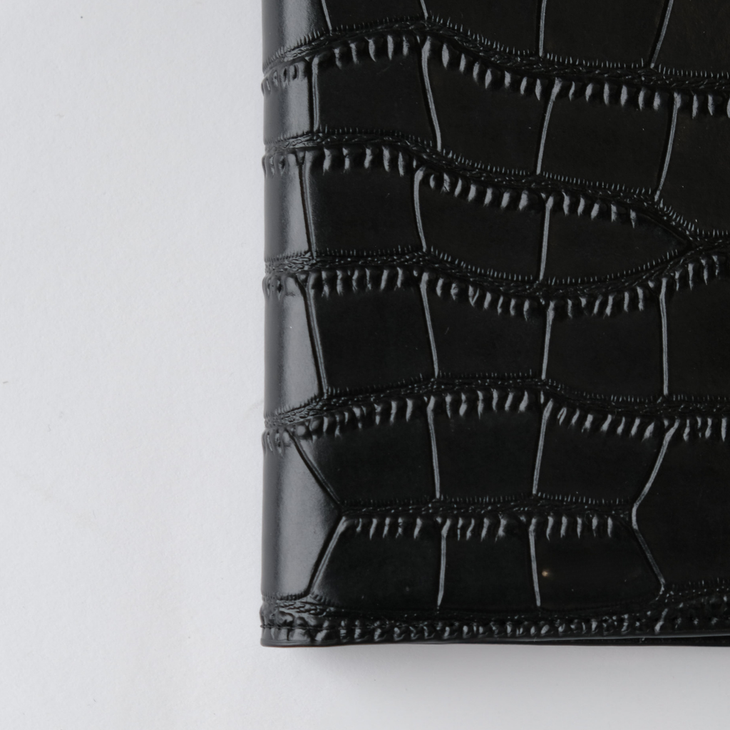 THE PASSPORT COVER