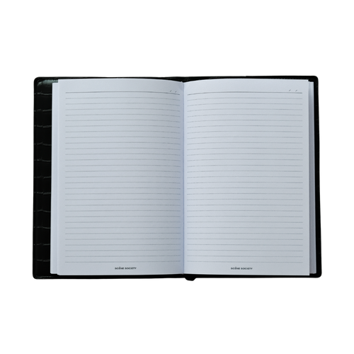 THE INDIE INSERT