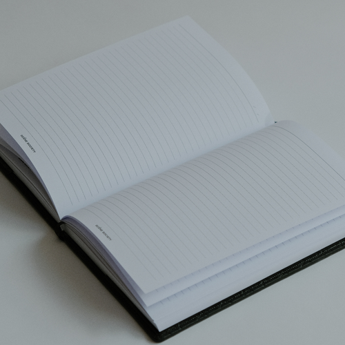 THE INDIE INSERT